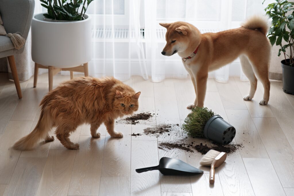 pet-friendly cleaning