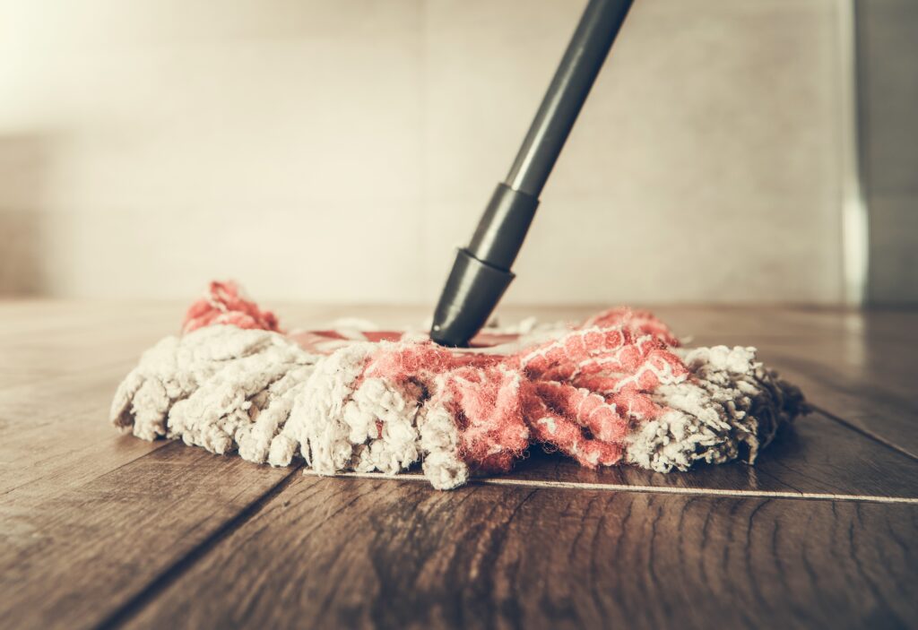 Fall Carpet Cleaning